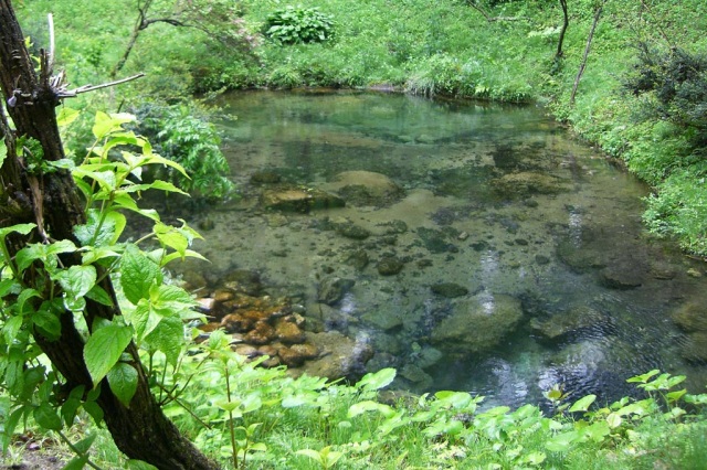 晴れの国のおいしい水を探せ! 岡山県に3ヵ所ある「名水百選」めぐり